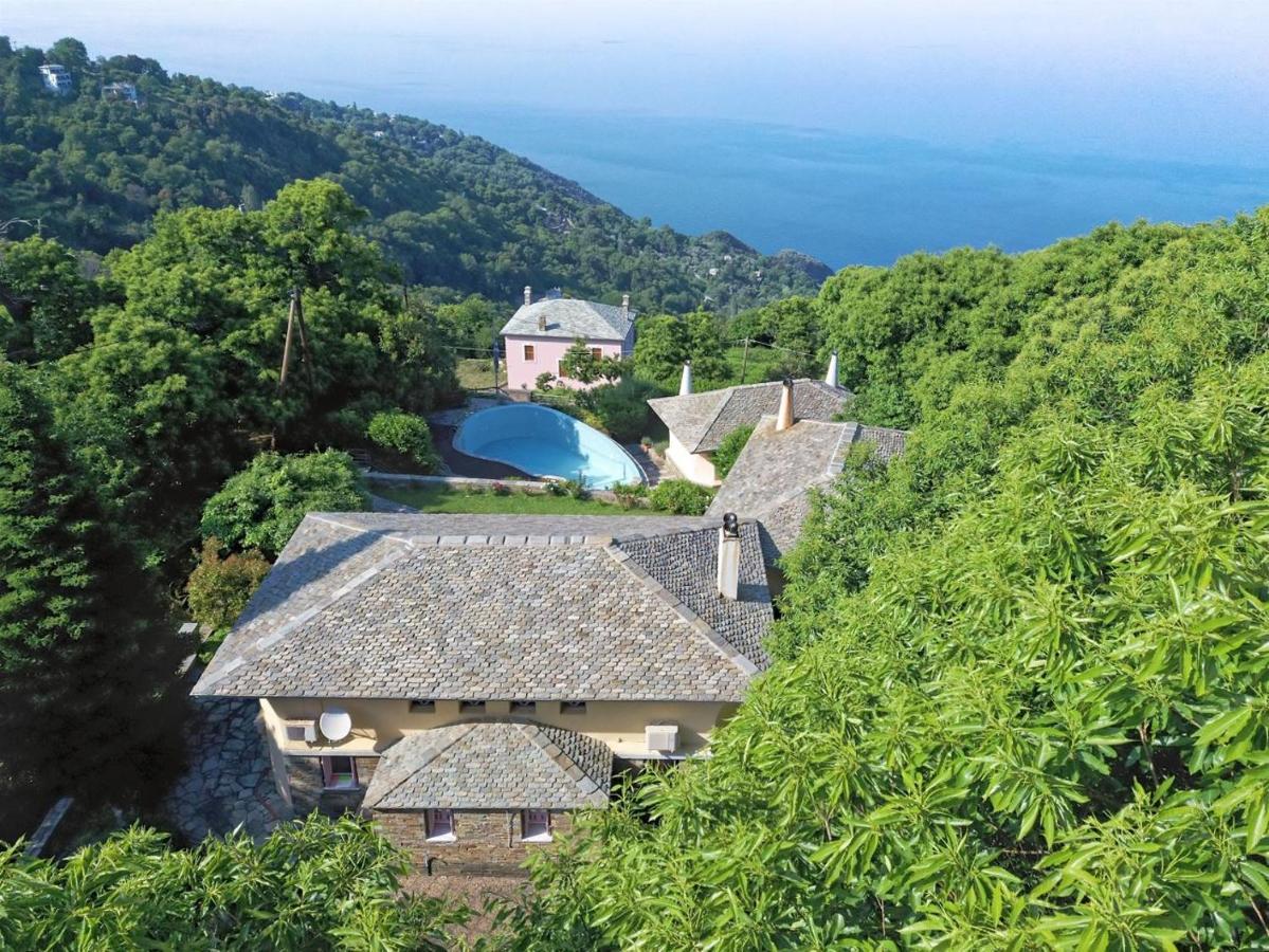 Tsagkarada Country Estate With Pool Villa Buitenkant foto